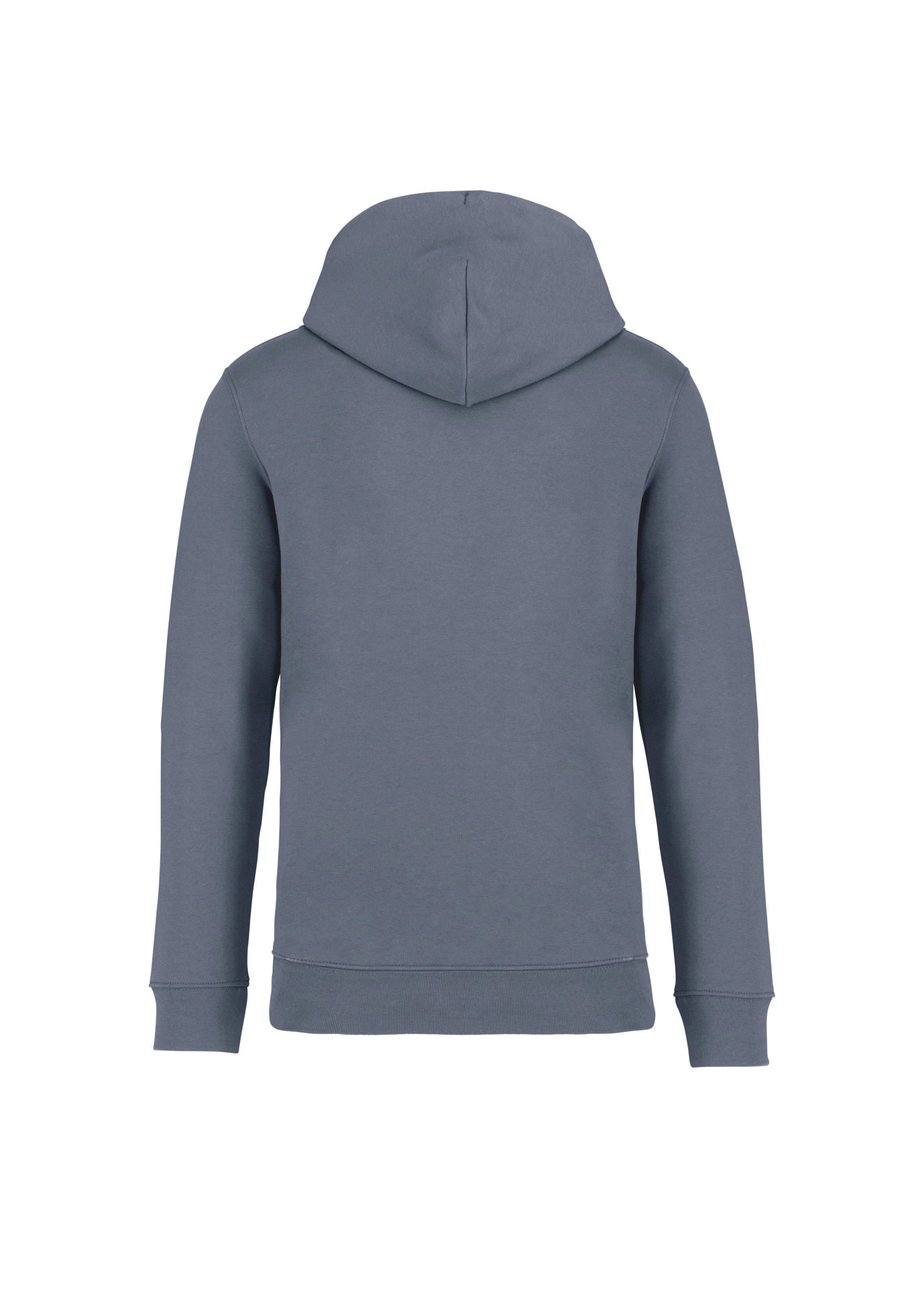iba | University – Premium Hoodie