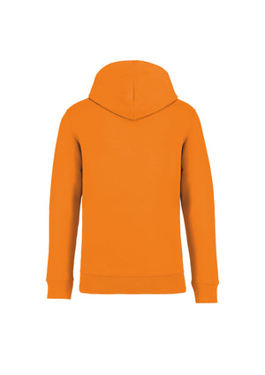 iba | University – Premium Hoodie