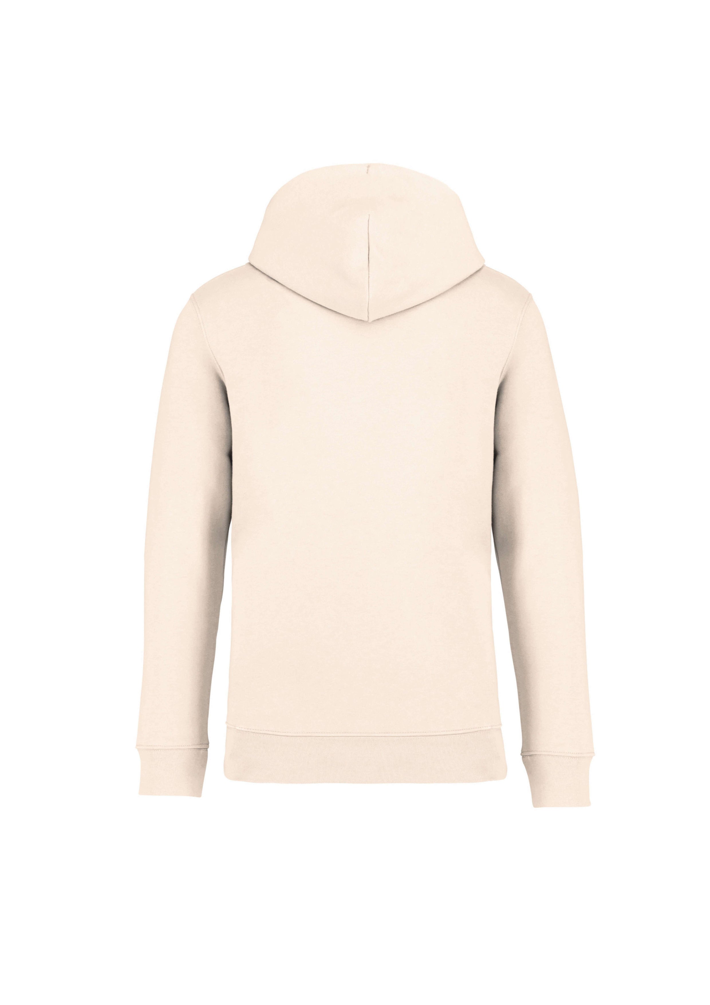iba | University – Premium Hoodie